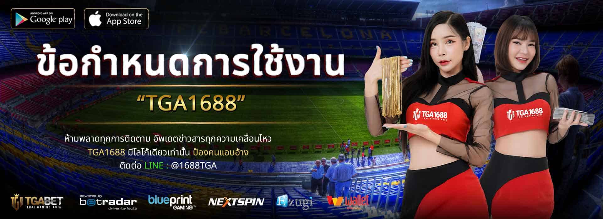 ข้อกำหนดการใช้งาน tga1688